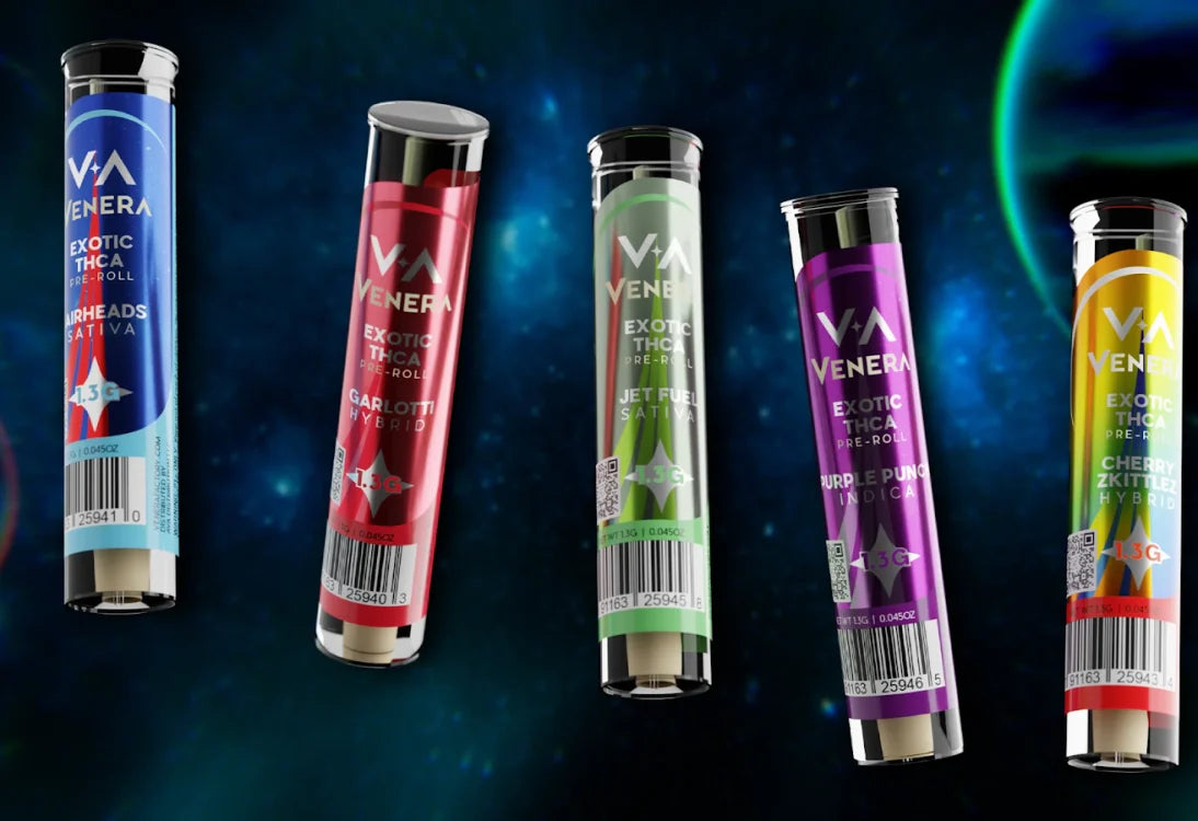 Venera Factory: Email That Converts at Scale